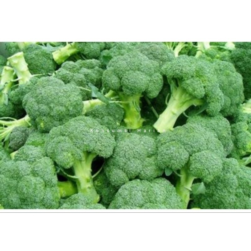 

Brokoli Hijau / Green Broccoli 300gram