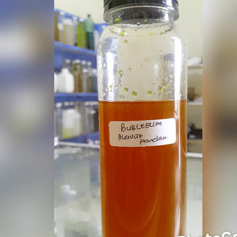 essen oplosan siap pake aroma bublegum blenok pandan 3oml