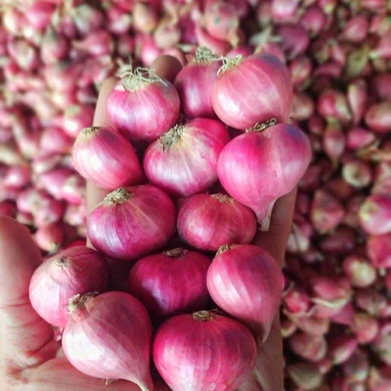 

BAWANG MERAH 1 KG