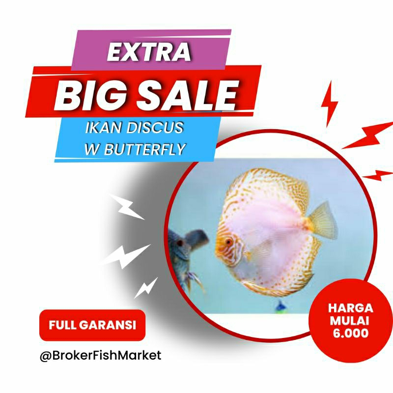 

Packing Styrofoam Discus White Butterfly 1 inch