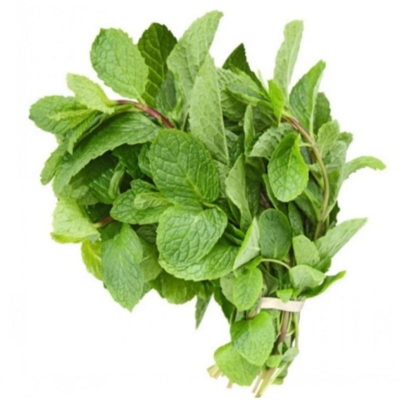 

DAUN MINT ORGANIK 50gr