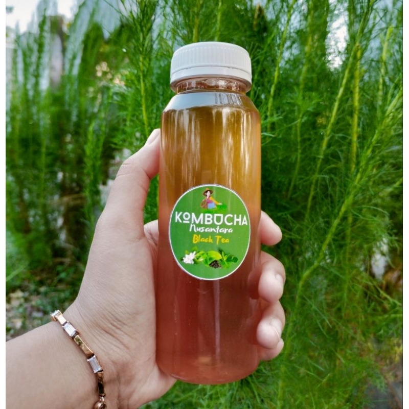 

Kombucha Black Tea Minuman Fermentasi Probiotic