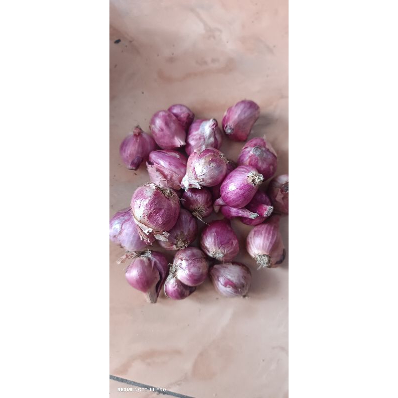 BAWANG MERAH super gemoy 1kg free 1ons