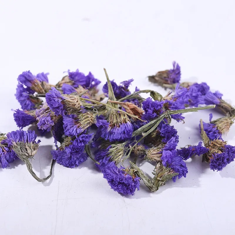 

Forget Me Not Flower Tea / Teh bunga Forget Me Not