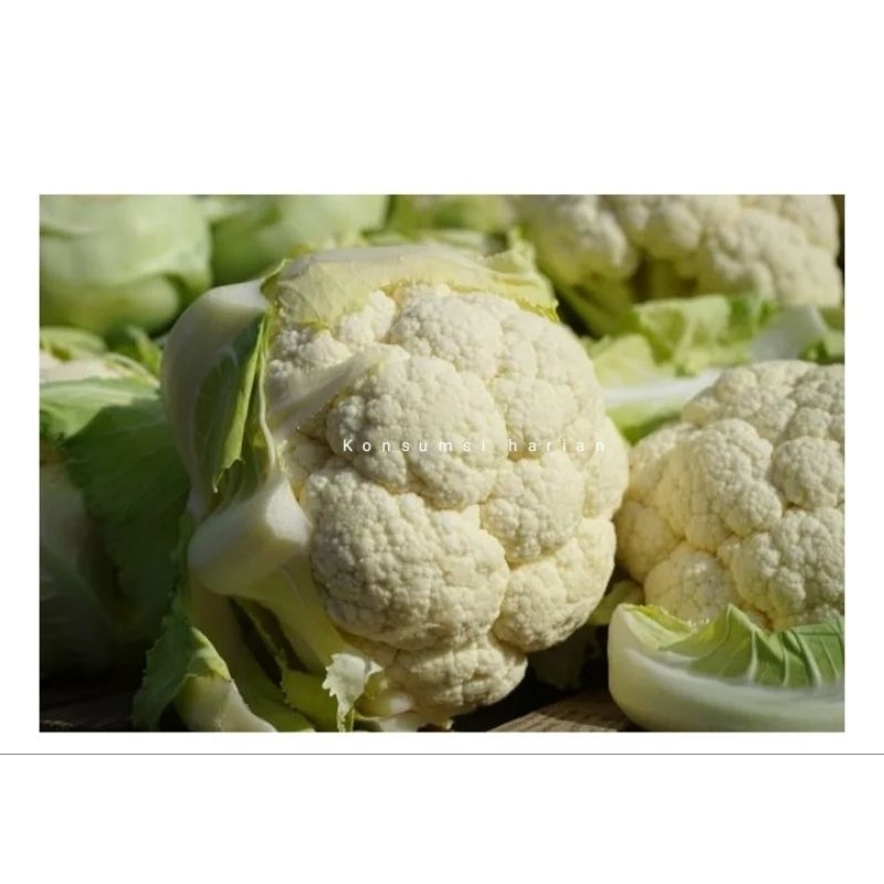 

Bunga Kol Putih / White cauliflower 500gram