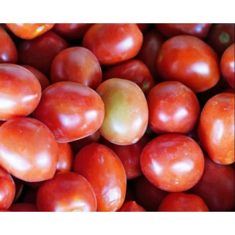 

Tomat seger 500 gram
