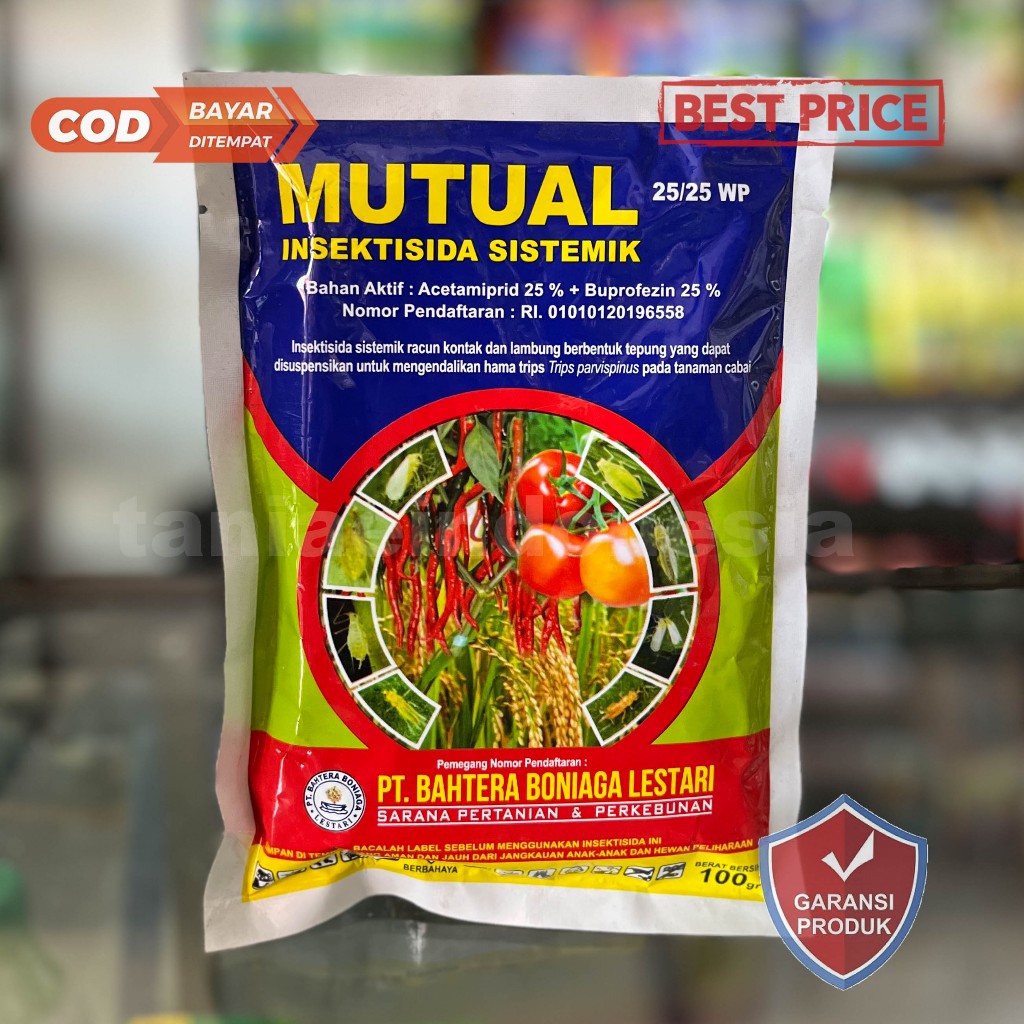 MUTUAL 25/25WP INSEKTISIDA SISTEMIK 100 GRAM