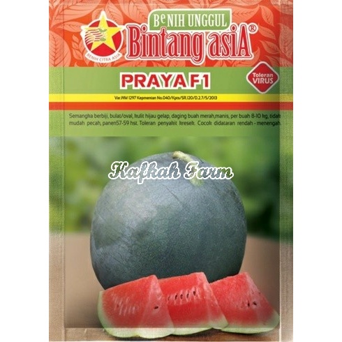 Benih 3 Biji Semangka PRAYA F1