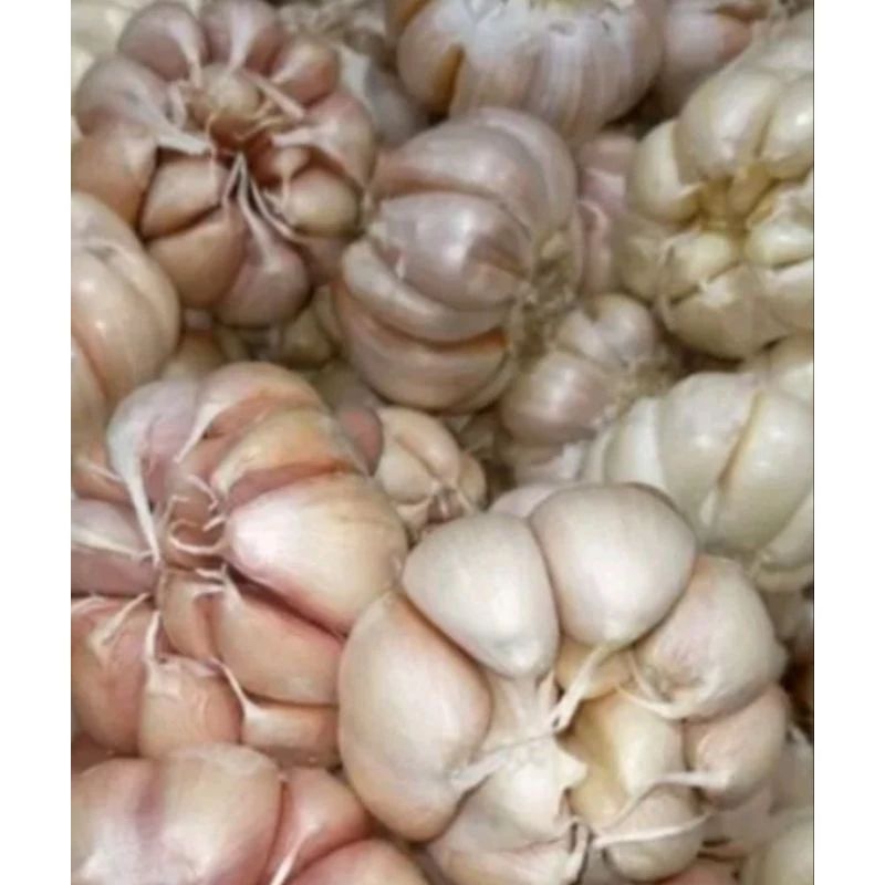 

BAWANG PUTIH 1/2KG BERSIH