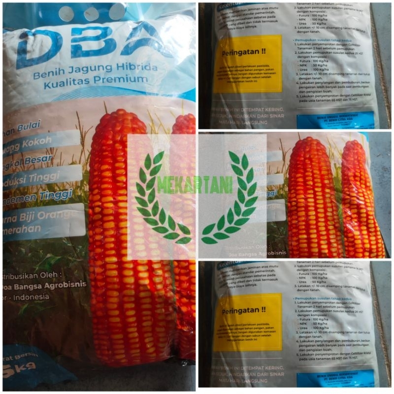 benih jagung hibrida DBA kemasan 5kg