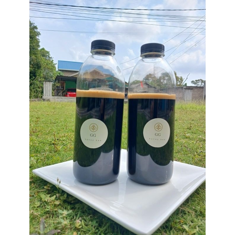 

Madu Hutan Sumatera Asli dan Murni 100%