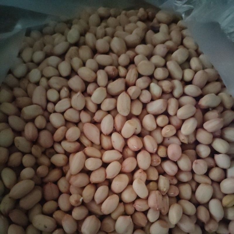 

kacang tanah kulit atau kupas