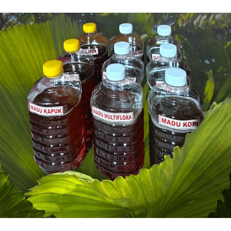 

Madu MultiFlora Madu Asli