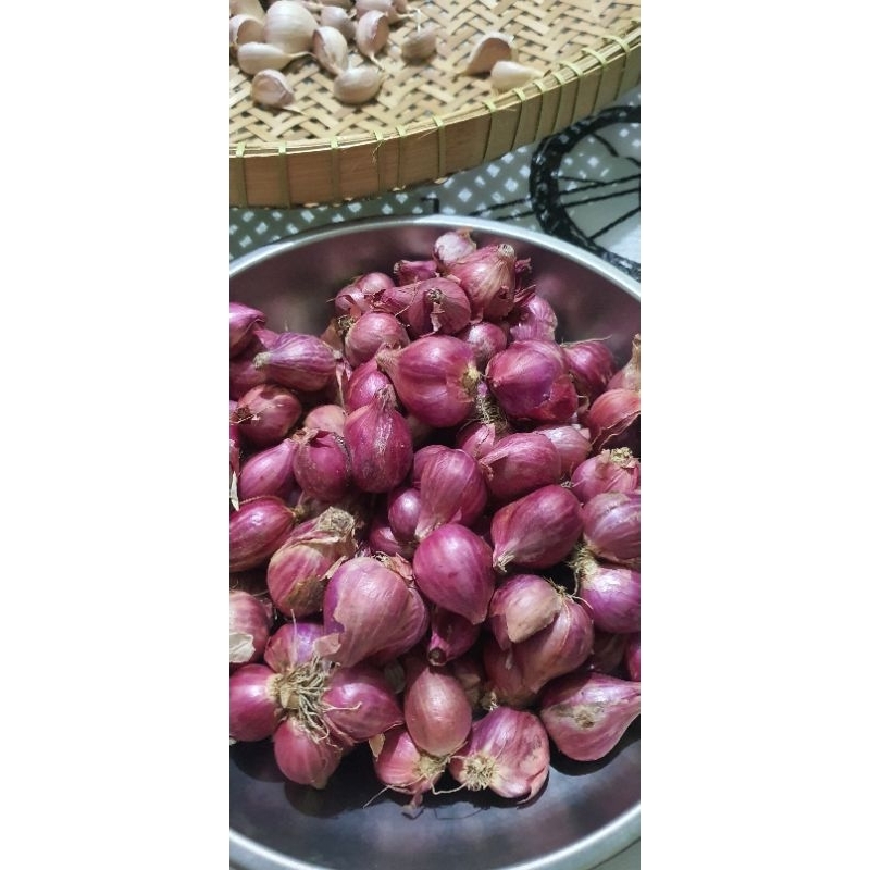 

bawang merah lokal super