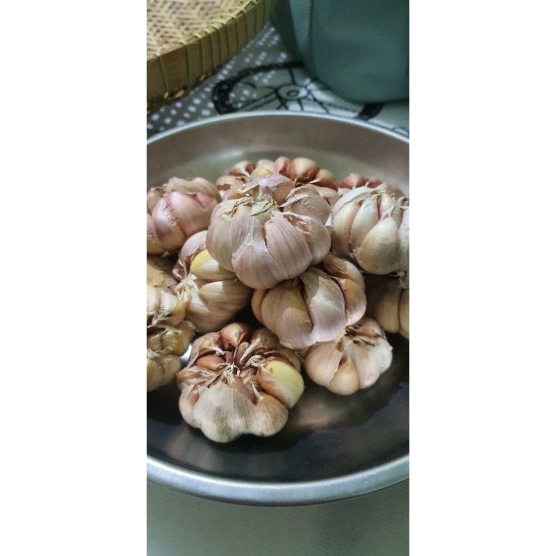 

bawang putih