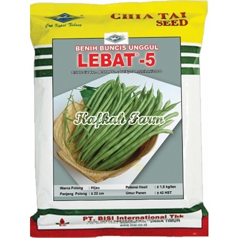 Benih 15 Biji Buncis LEBAT 5