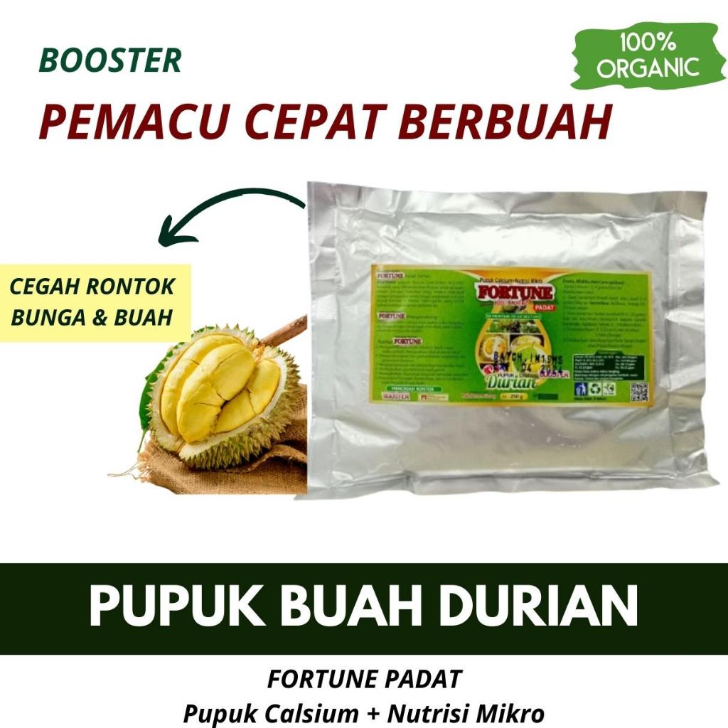 Pupuk Pohon Durian Agar Cepat Berbuah, Booster Pupuk Bibit Durian Agar Berbuah Lebat