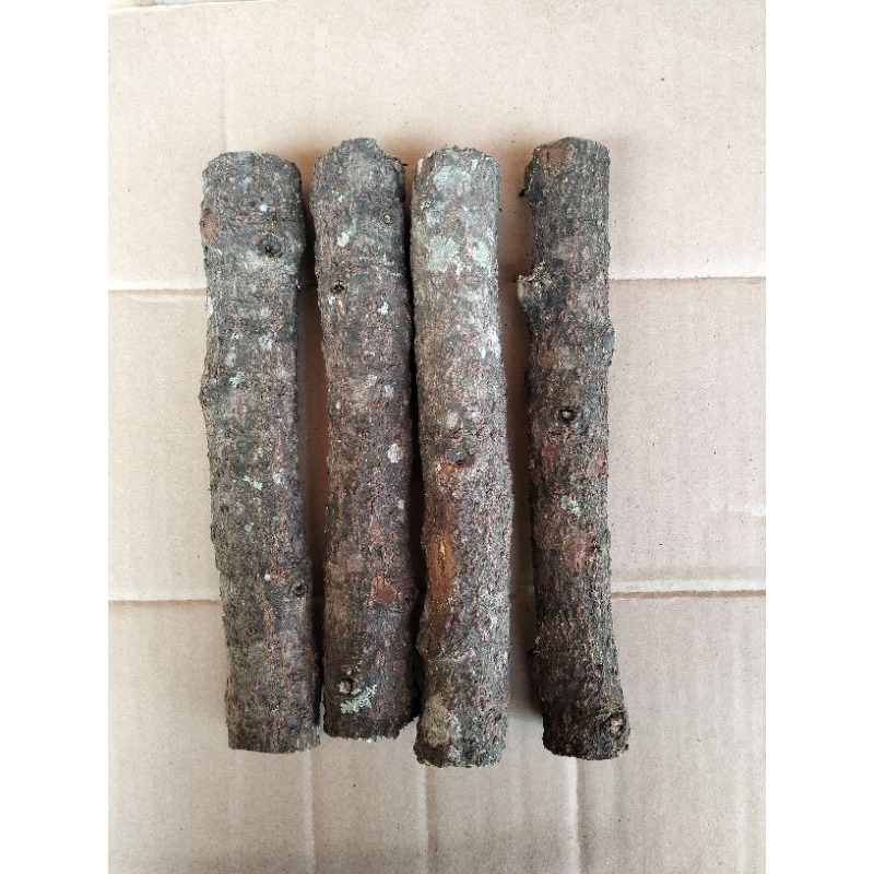 STIK KAYU LEMO PENGUSIR ULAR ISI 4 PALING MURAH PLUS BONUS.