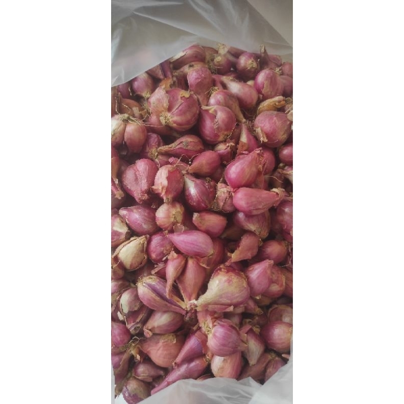 

Bawang Merah Brebes 1kg