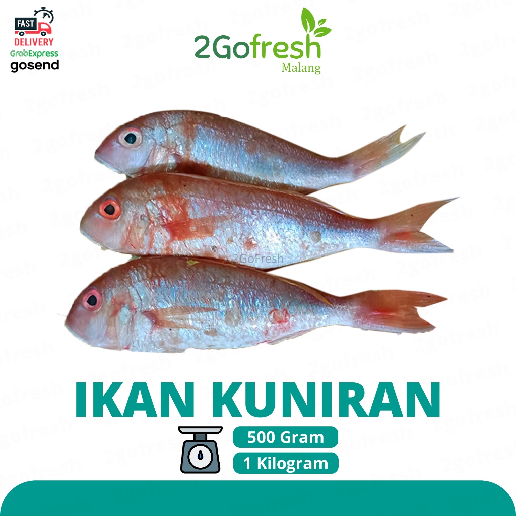

Ikan Kuniran Fresh - Sayur Sayuran