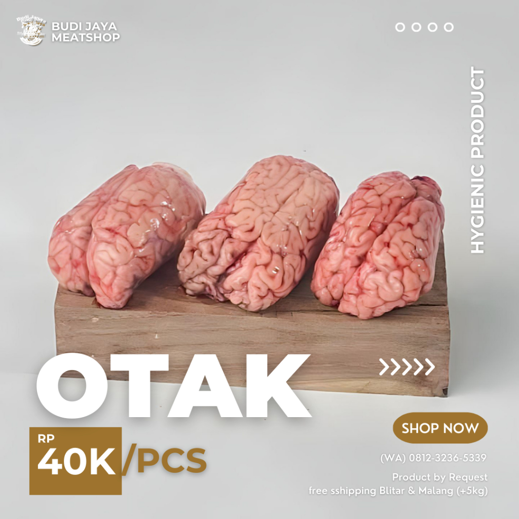

Otak Sapi