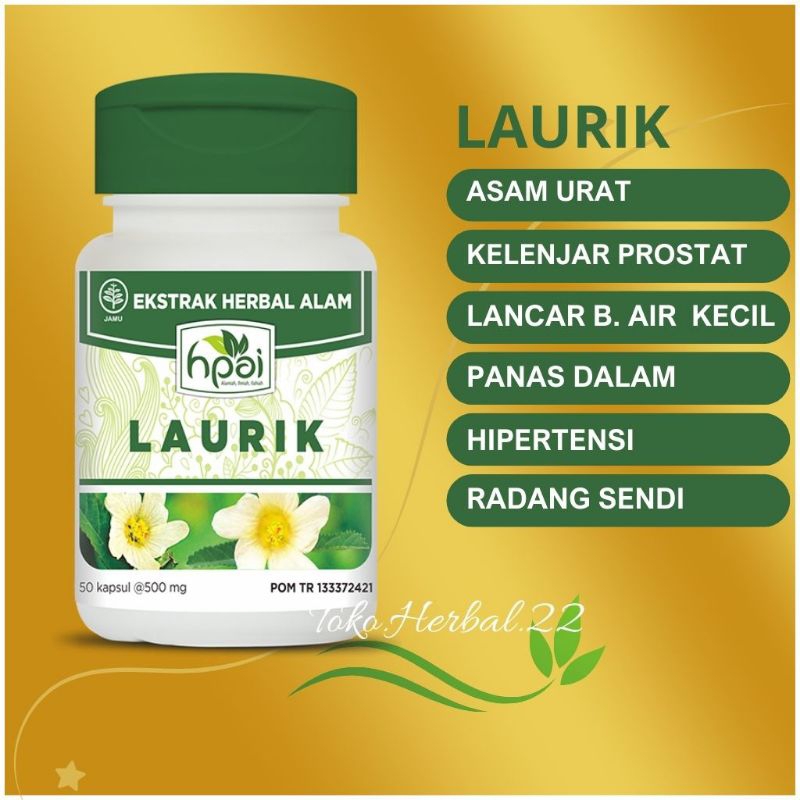 

Laurik HNI HPAI • Isi 50 Kapsul • Herbal Untuk Masalah Asam Urat • Rematik