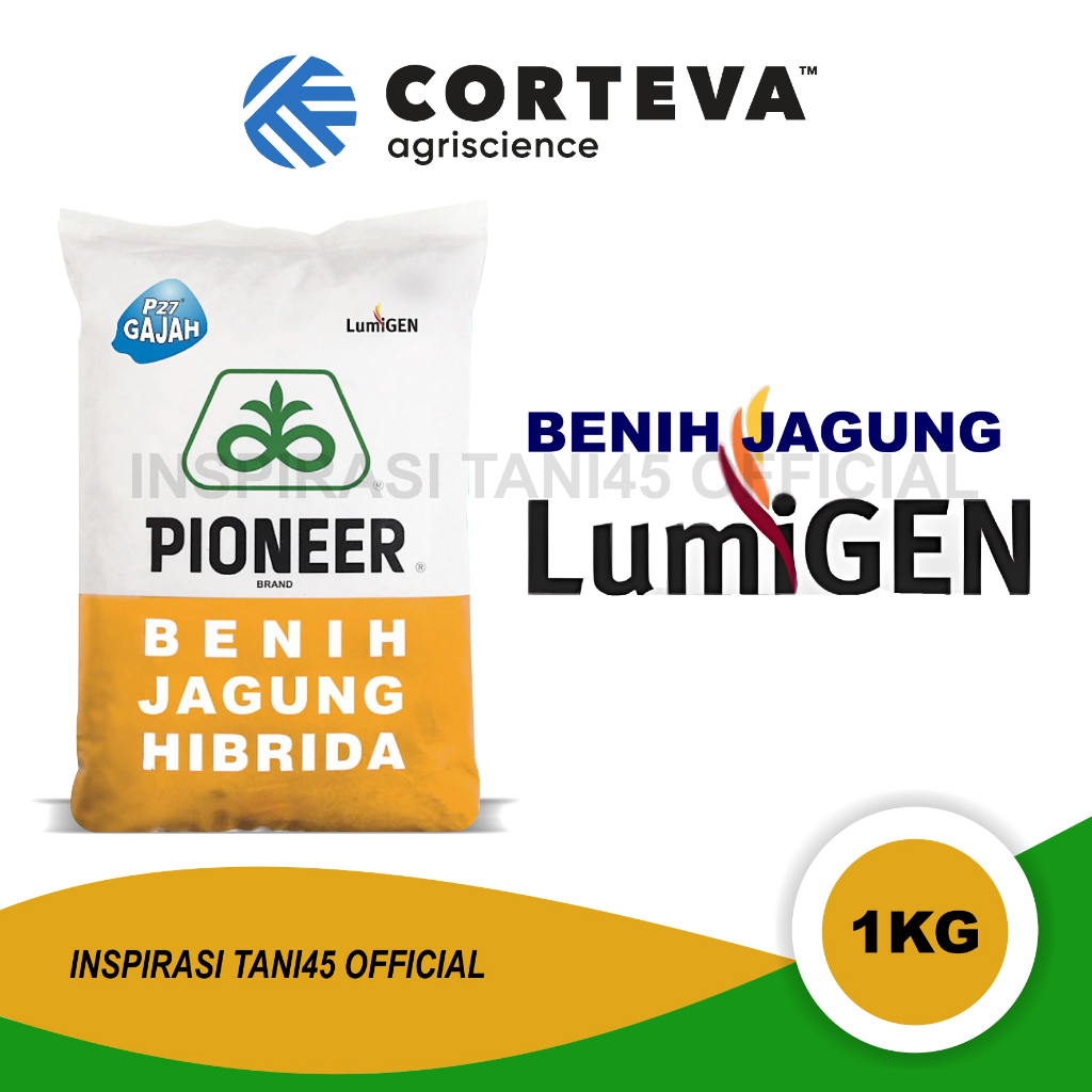 P27 Lumigen/P27 Gajah lumigen/Benih jagung Hibrida P27 Gajah Lumigen/Bibit jagung hibrida p27 gajah 