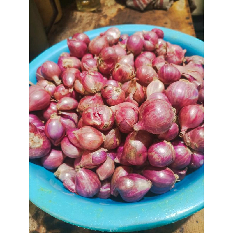 

Bawang Merah Berkualitas