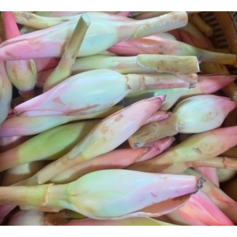

KECOMBARANG 100gr dan 250gr