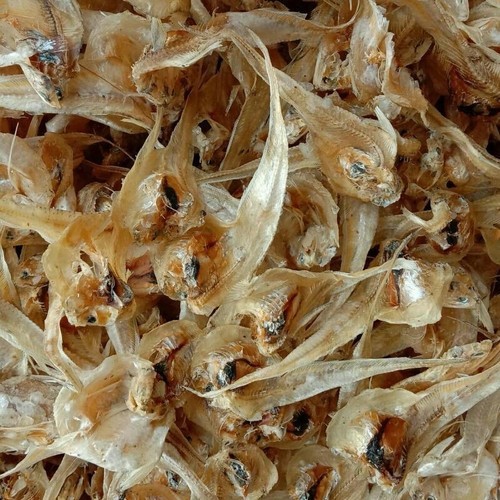 

MURAH 500 GRAM IKAN ASIN BULU AYAM KWALITAS SUPER/ IKAN ASIN/ IKAN BULU AYAM