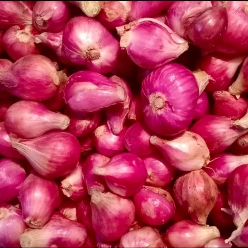 Brambang merah