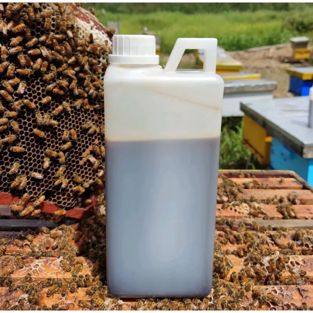 

MADU HUTAN RIAU AKASIA