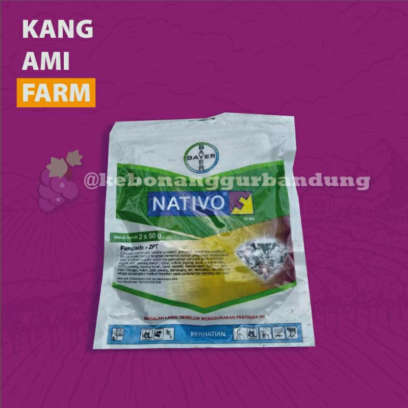 Fungisida+ZPT Nativo 50gr