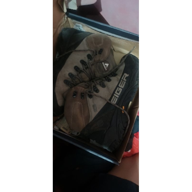 Eiger Eagle Plum 2.0