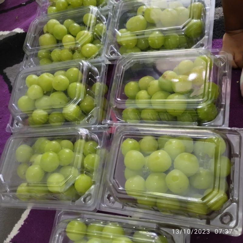 

Anggur Shine Muscat Bandar Lampung