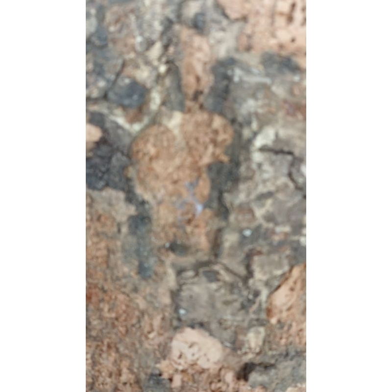 PC Xodiac Zayyan Everline Soundwave Music Drama Leo Dare Davin Truth Davin Lucky Draw