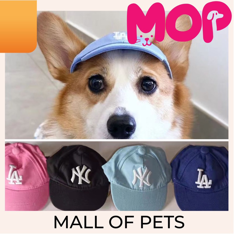 Topi baseball anjing kucing