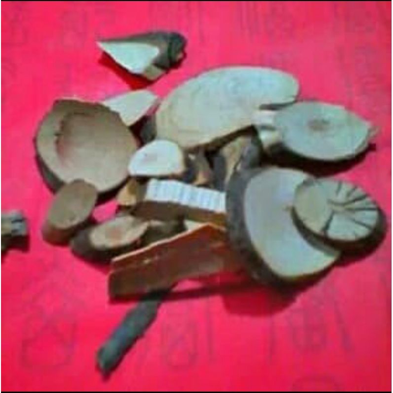 

10 G 50 GR 100 GRAM 马胎 ZOU MA TAI ARDISIA ROOT