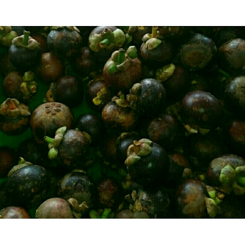 

manggis 500 g