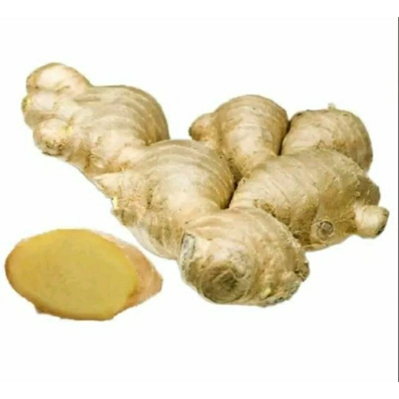 

lempuyang jumbo isi 250g