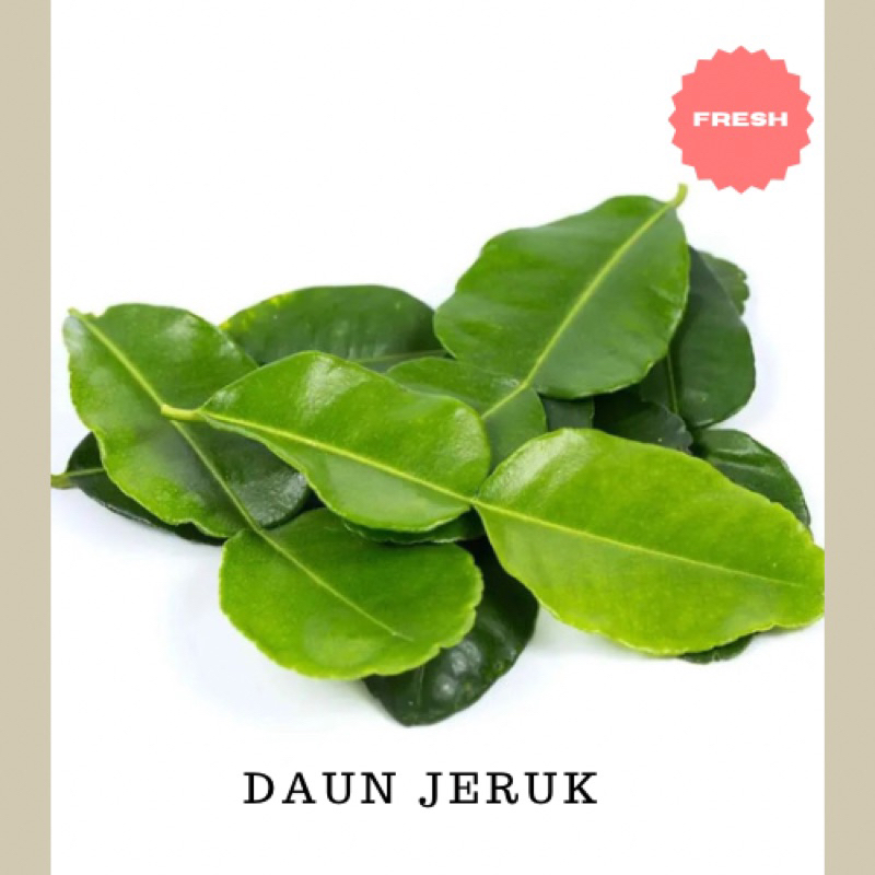 

Daun Jeruk Rempah 50 gram Fresh pack