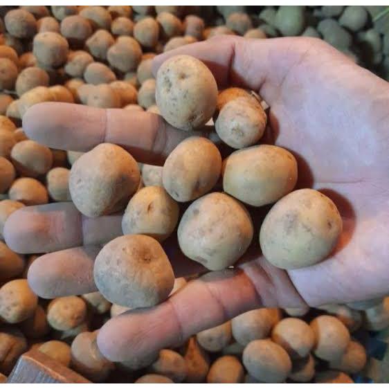 

Kentang baby \ kentang kecil _ 500gr