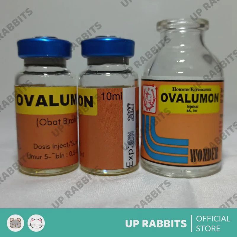Ovalumon 20ml inject Obat susah kawin Kelinci free 1spuit 1ml