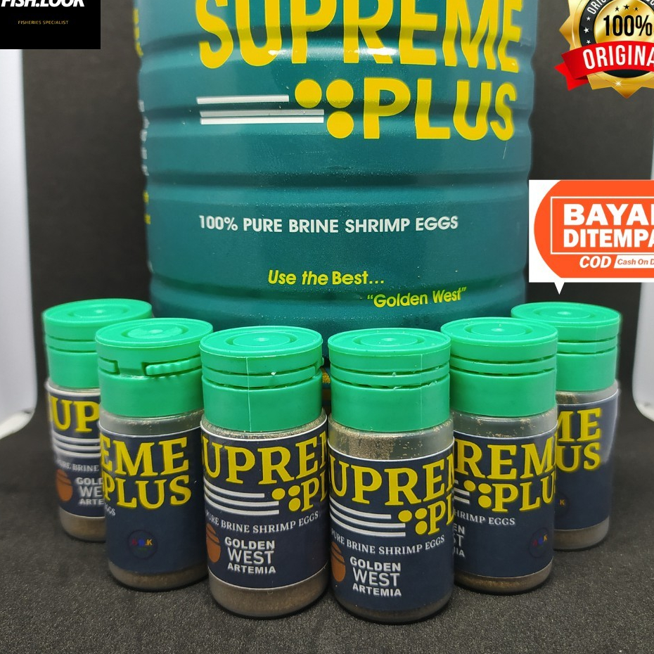 artemia hidup tetas supreme plus 10 gram original