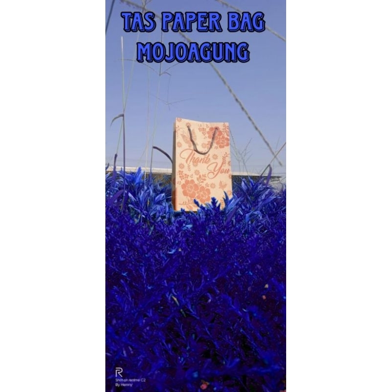 

tas paper bag ukuran r7 dapat 12pcs 19,5x13,5