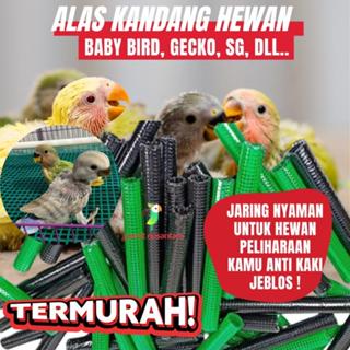 ALAS JARING PLASTIK ANAKAN HEWAN PARROT
