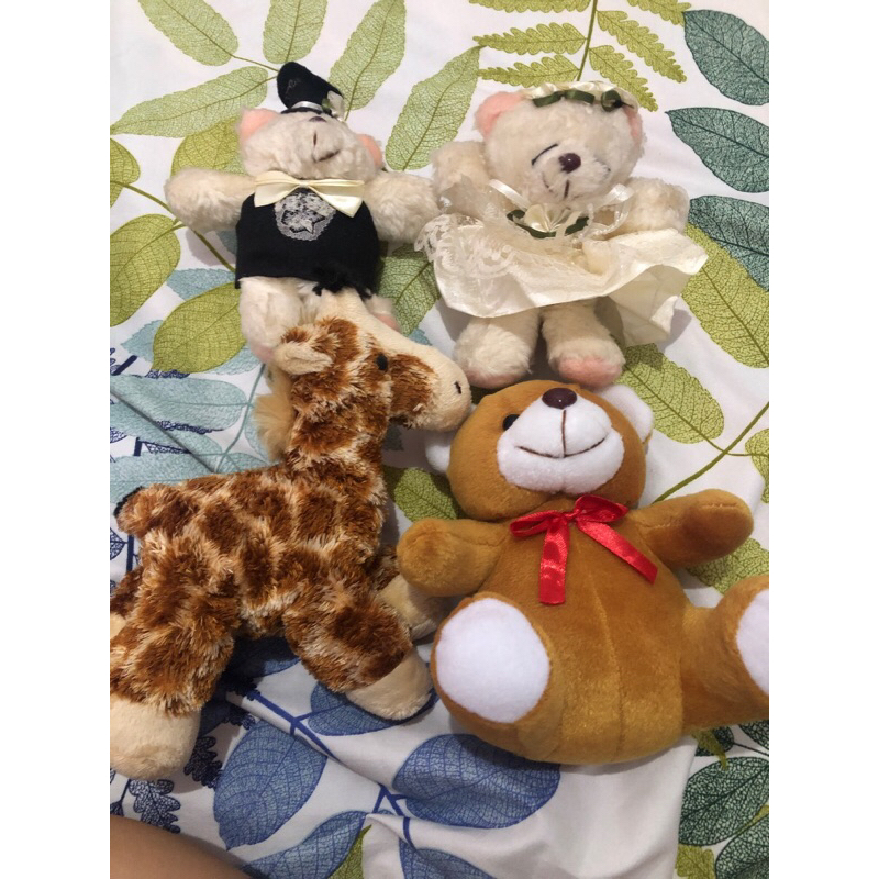 Take all Boneka Kecil