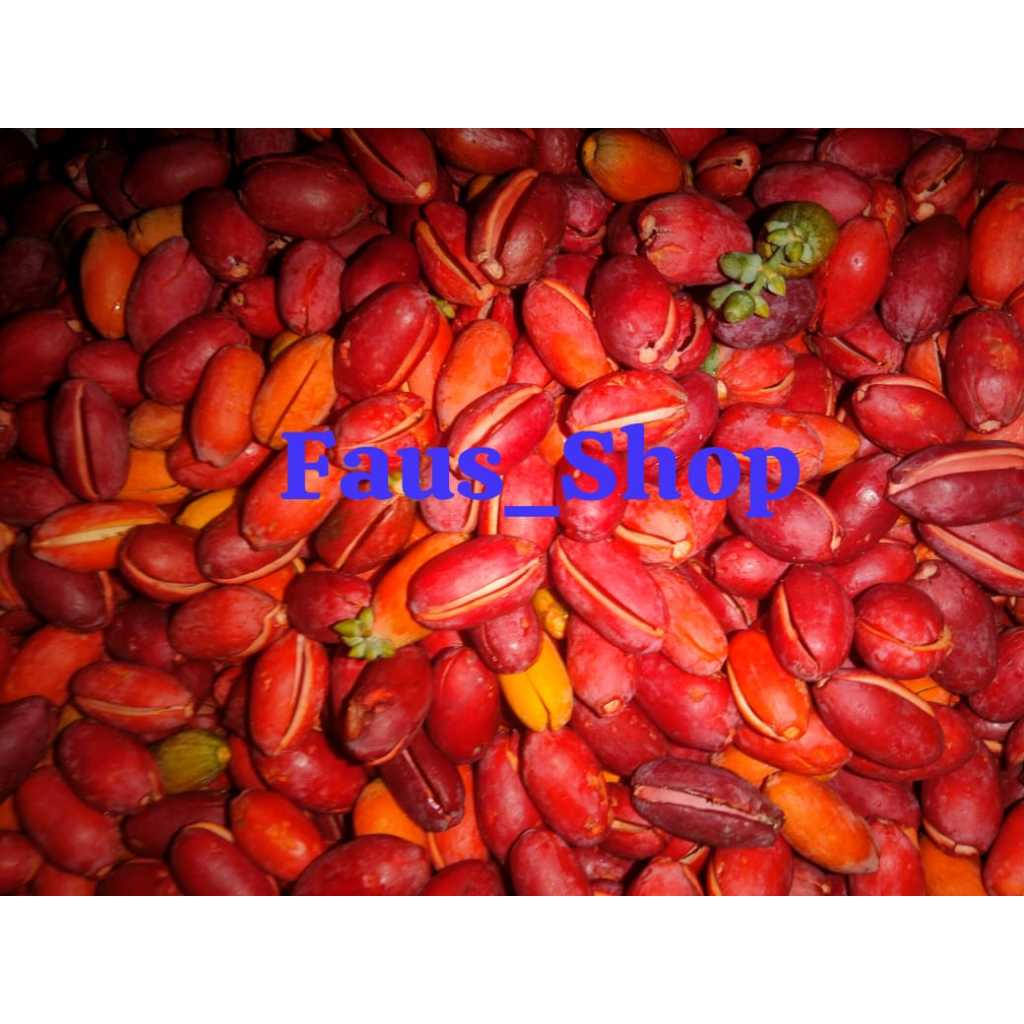 

kulit melinjo (tangkil) segar 1 kg