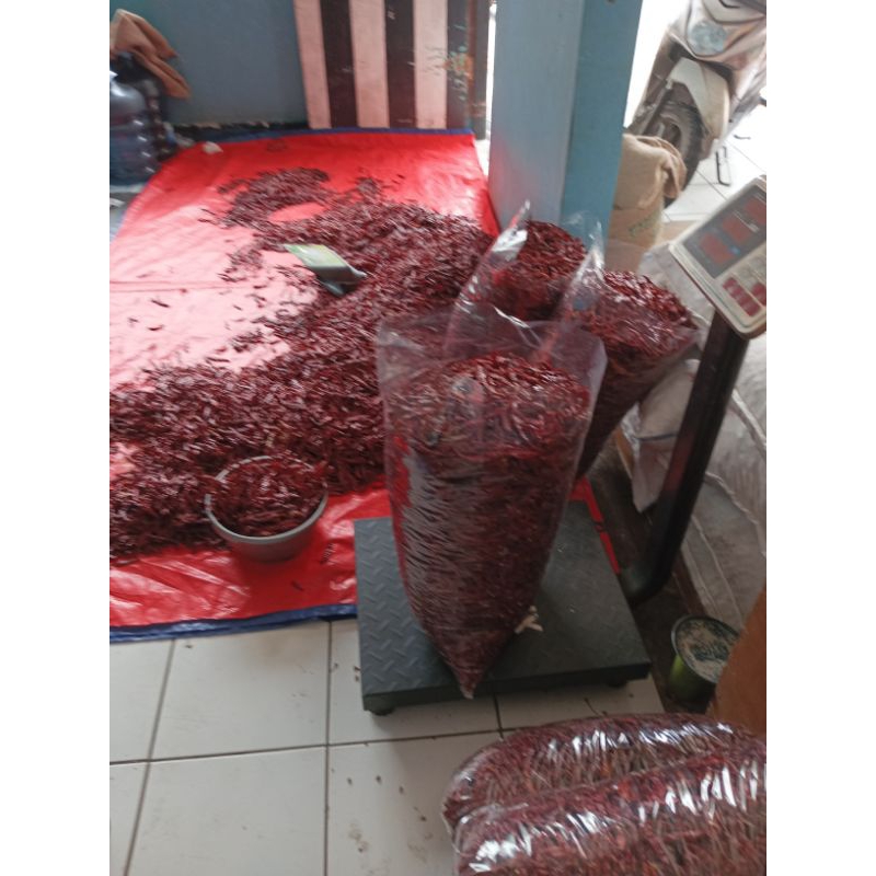 

CABE KERING TEJA/TEJA IMPOR/TEJA PETIK/CABE INDIA/CABE RAWIT IMPOR