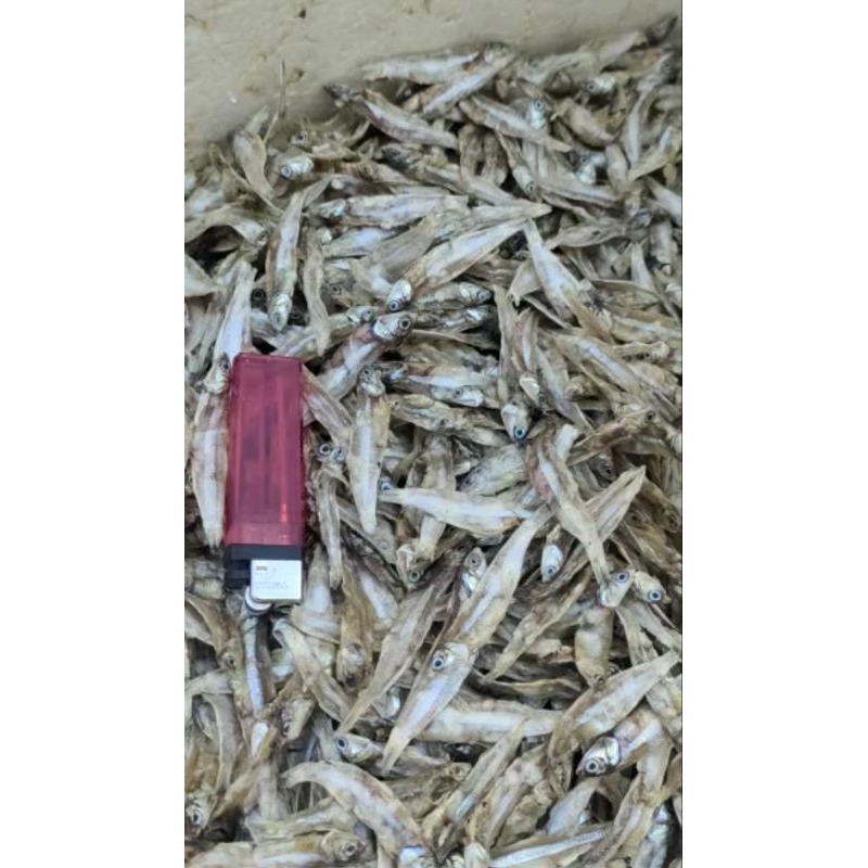 

Teri kering tawar besar ukuran 4-5